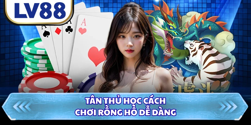 Tân thủ học cách chơi rồng hổ dễ dàng