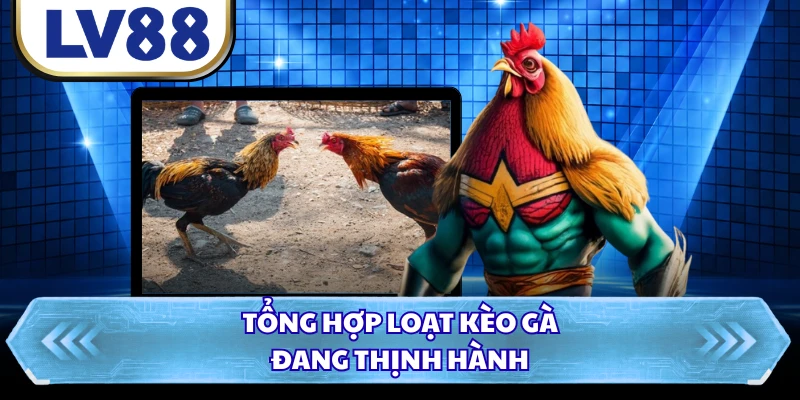 Tổng hợp loạt kèo gà đang thịnh hành