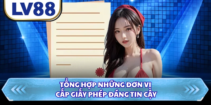 Tổng hợp những đơn vị cấp giấy phép đáng tin cậy