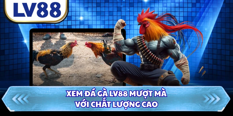 Xem đá gà LV88 mượt mà với chất lượng cao